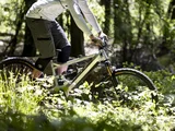 Green Days 2026